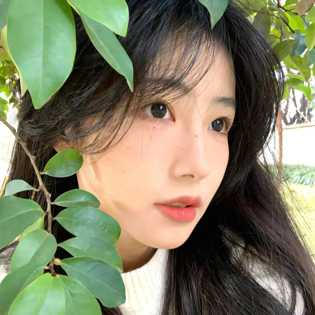 消失的十一层